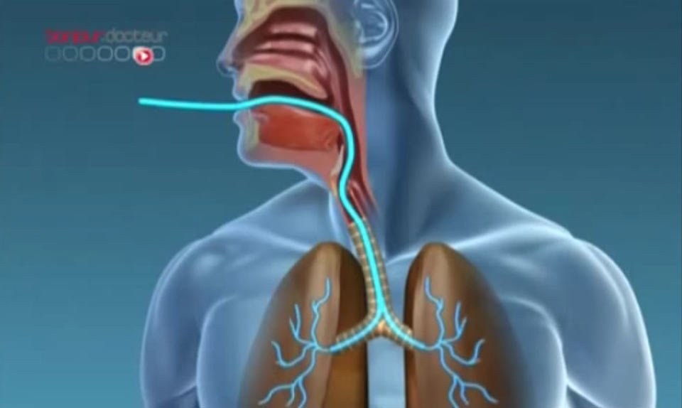 Visualiser sa respiration et son impact sur l’ensemble du corps